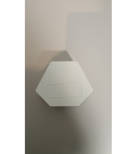 Будерус Зовнішній датчик ЕСО3 4000 (5 991 374)